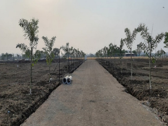 Gangotri Greens - Farm House Land in Girnare Nashik