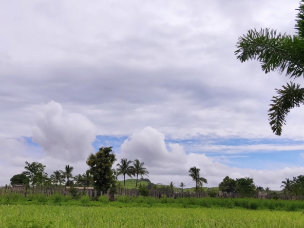 Serene Blue – Farm House land for Sale in Nashik near Gangapur Dam