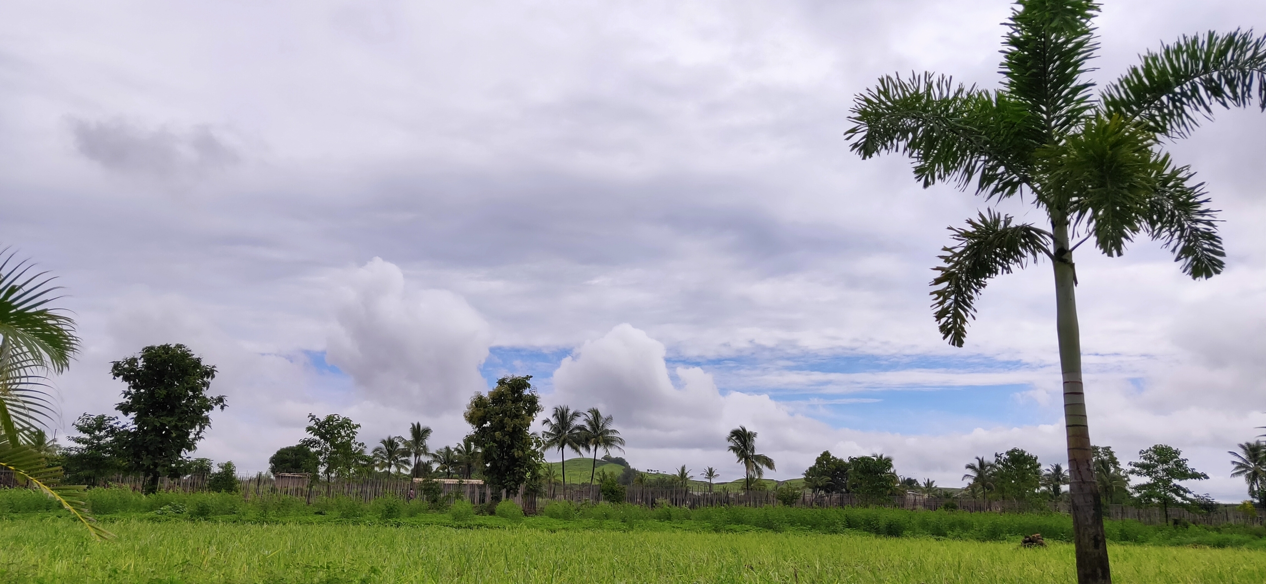 Serene Blue – Farm House land for Sale in Nashik near Gangapur Dam