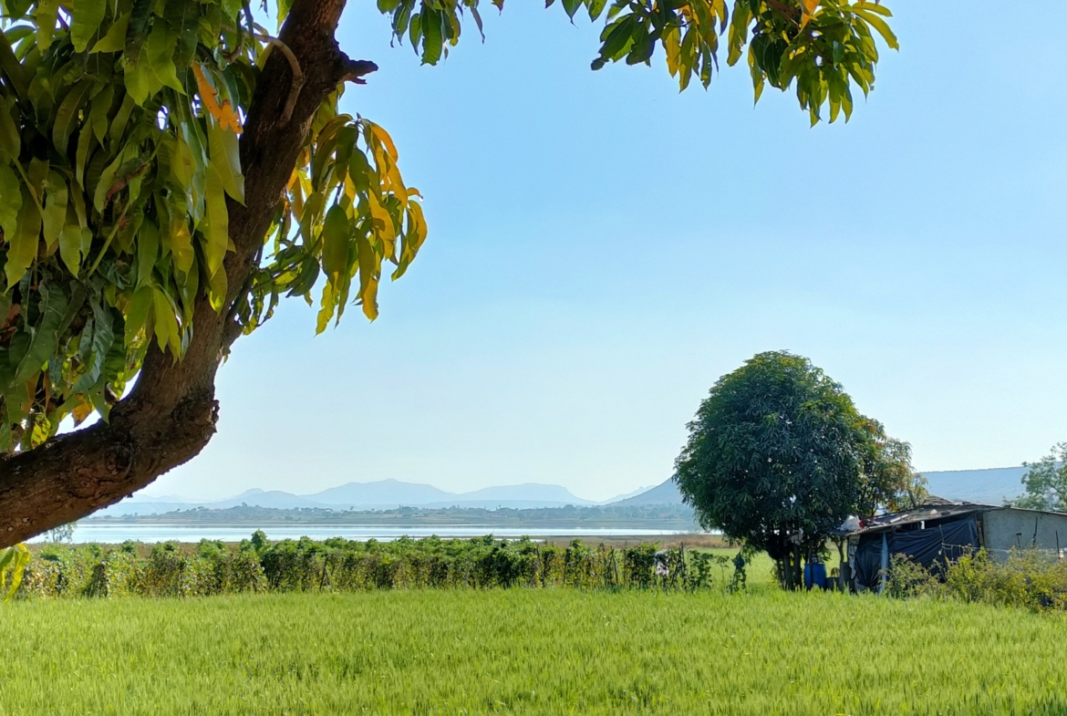 Serene Blue – Farm House land for Sale in Nashik near Gangapur Dam