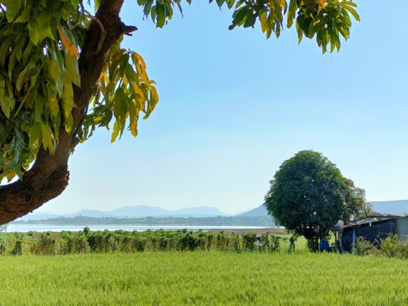 Serene Blue – Farm House land for Sale in Nashik near Gangapur Dam