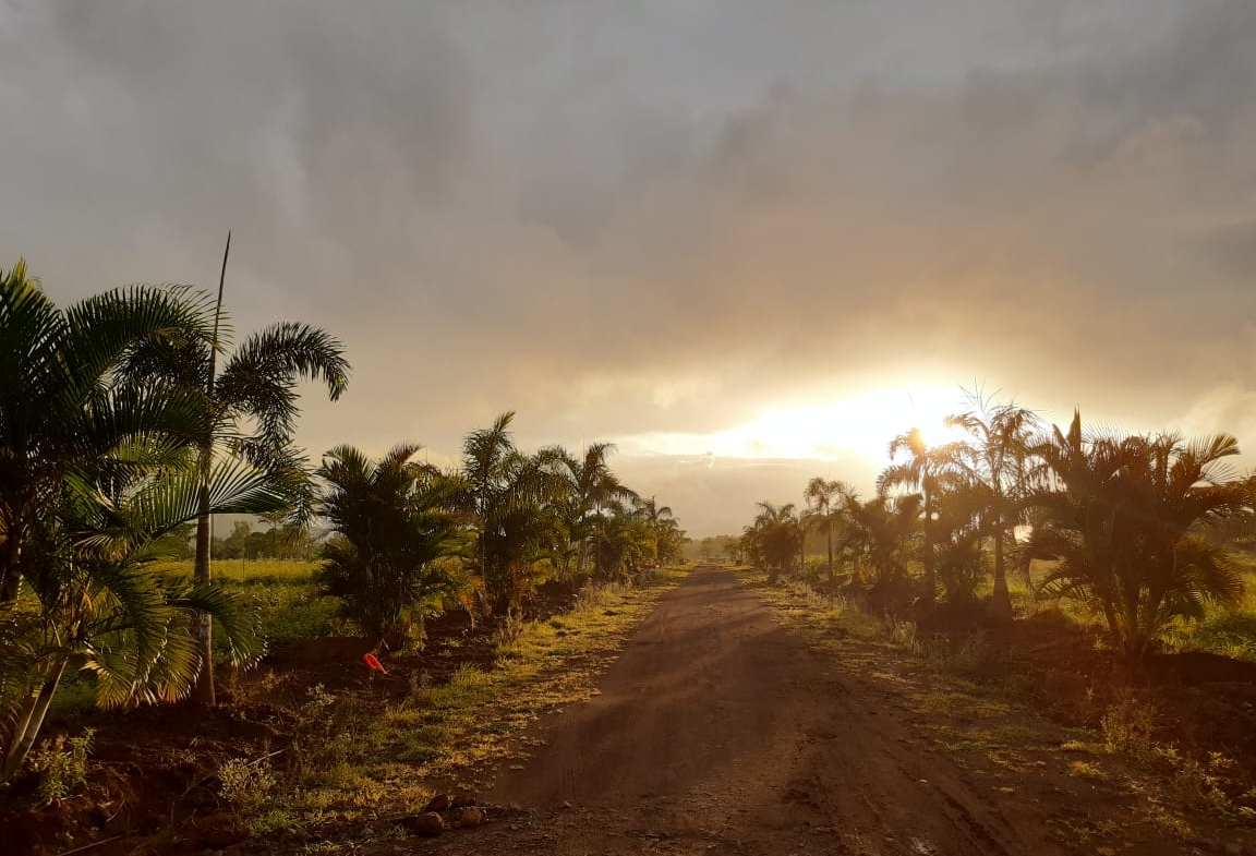 Serene Blue – Farm house land in Nashik at Girnare 1