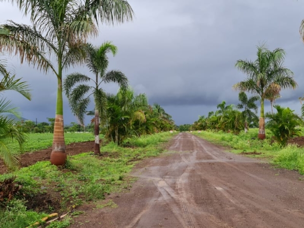 Serene Blue - Farm House land for Sale in Nashik near Gangapur Dam